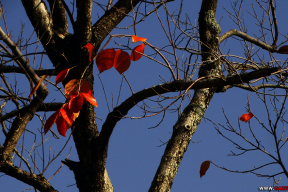 Краски южной осени. 10 ярких фото