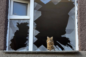 Роднянский: «Война продолжается»